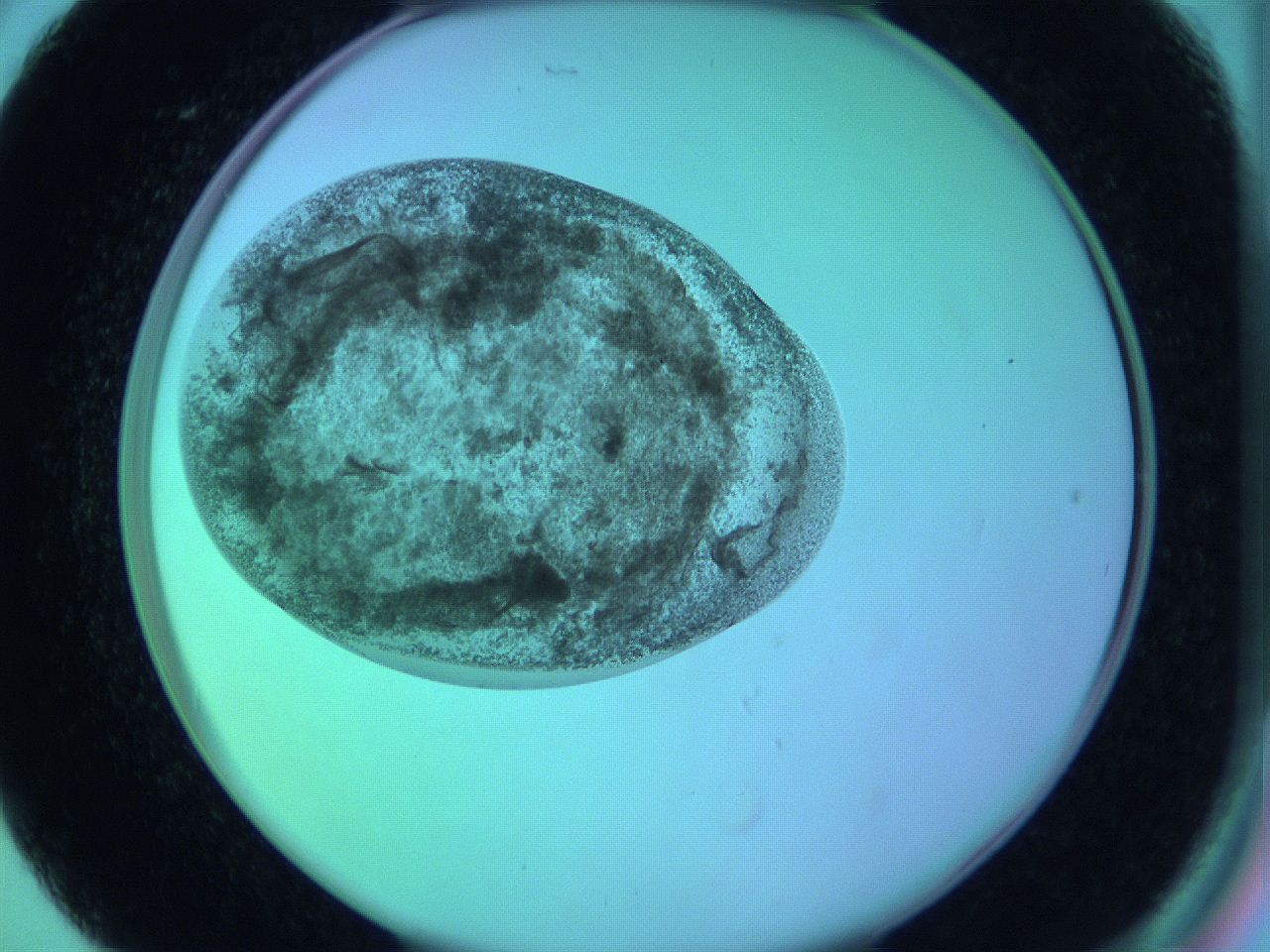 05zc_B5_ImagerDefaults_3.jpg