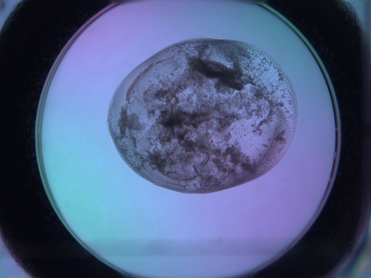 05zc_B2_ImagerDefaults_3.jpg