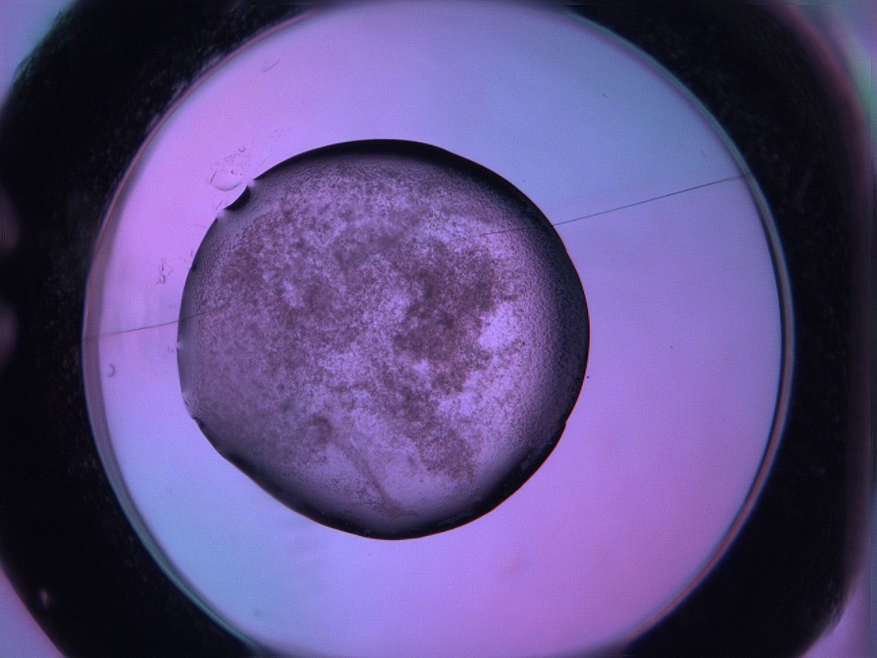 05zc_C1_ImagerDefaults_3.jpg