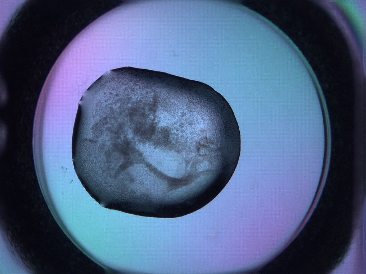 05zc_C3_ImagerDefaults_3.jpg