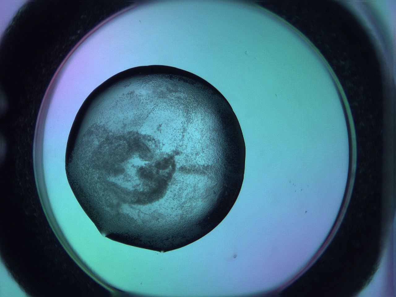 05zc_C5_ImagerDefaults_3.jpg