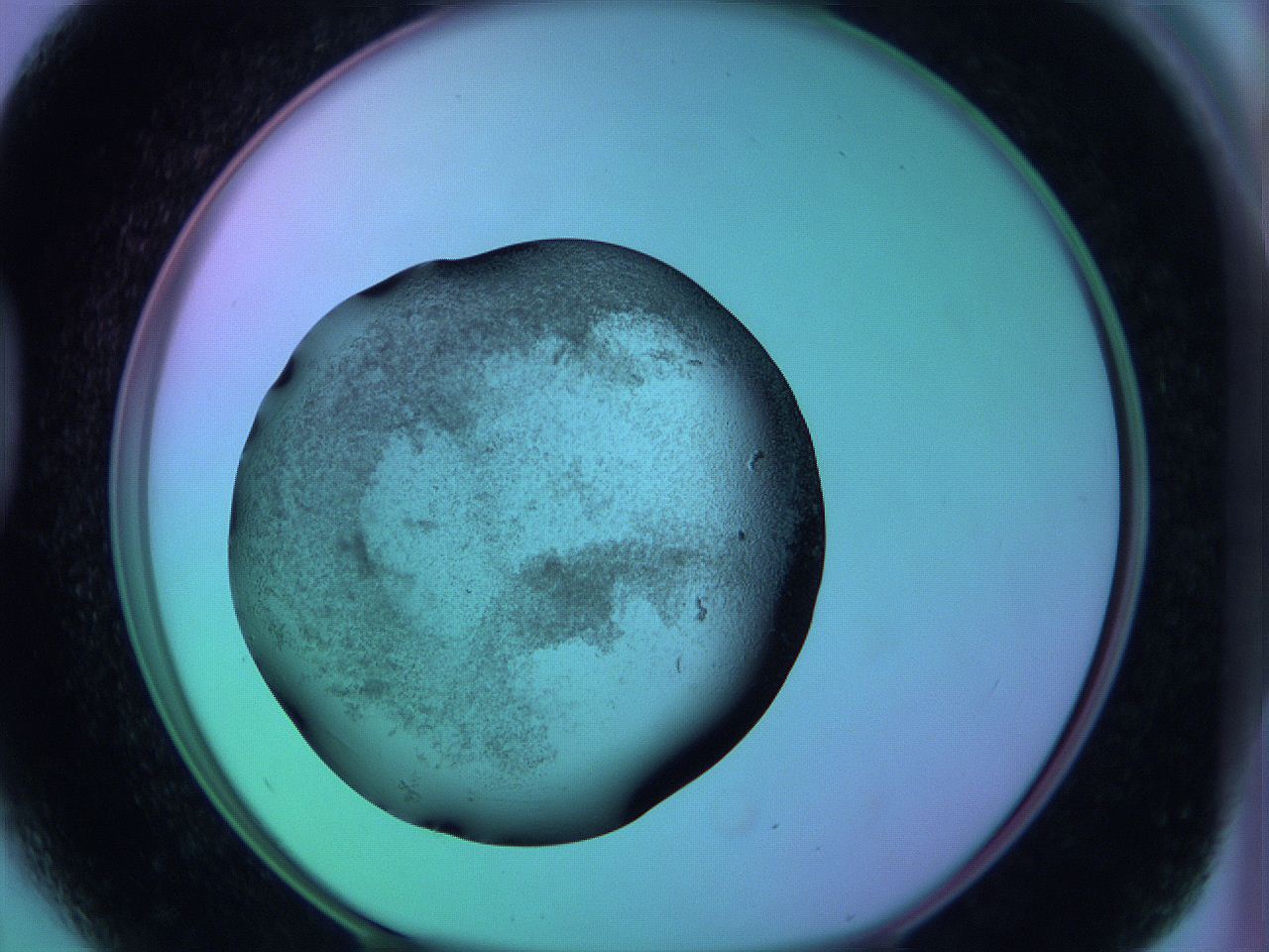 05zc_D5_ImagerDefaults_3.jpg