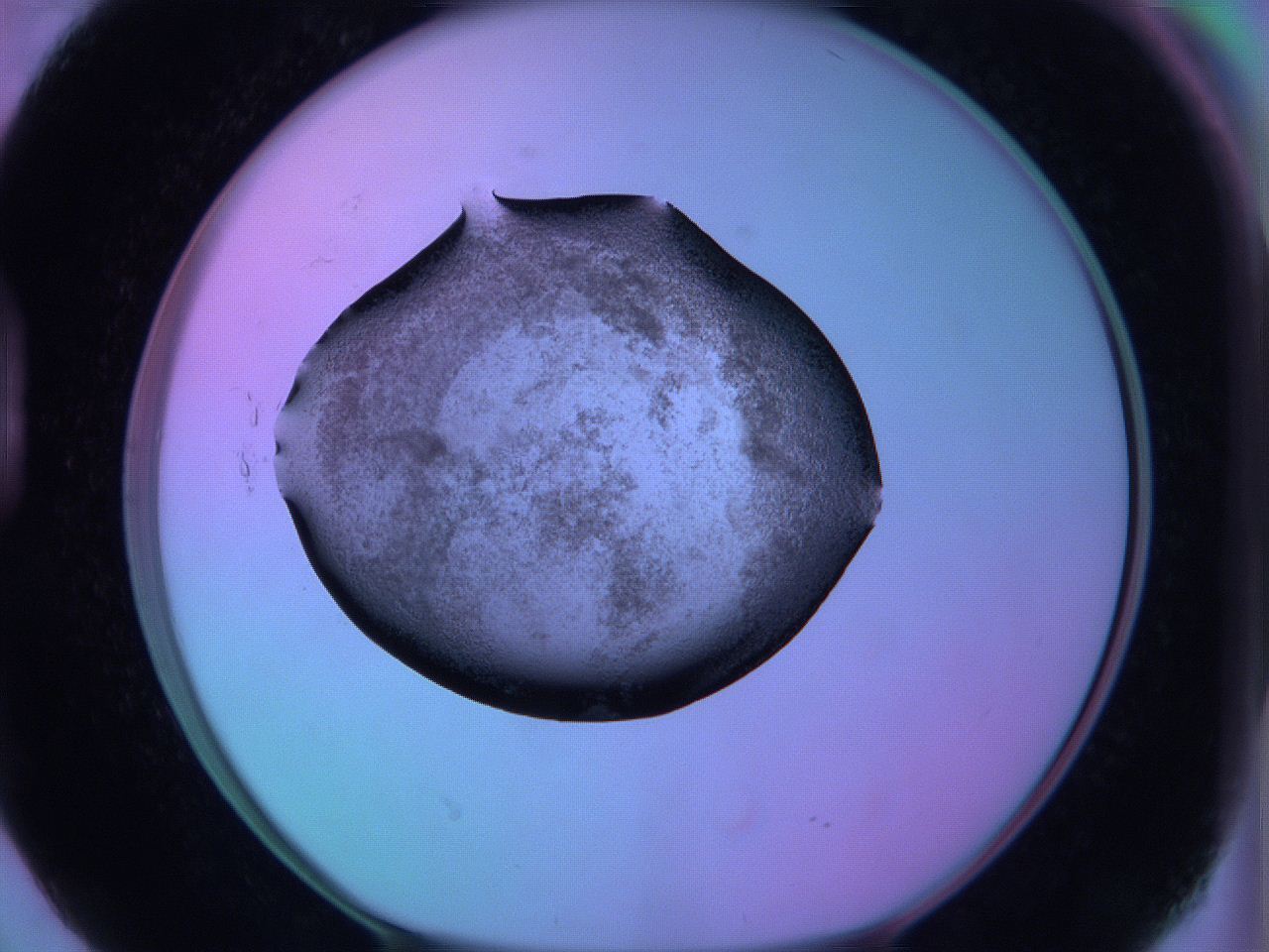 05zc_D2_ImagerDefaults_3.jpg
