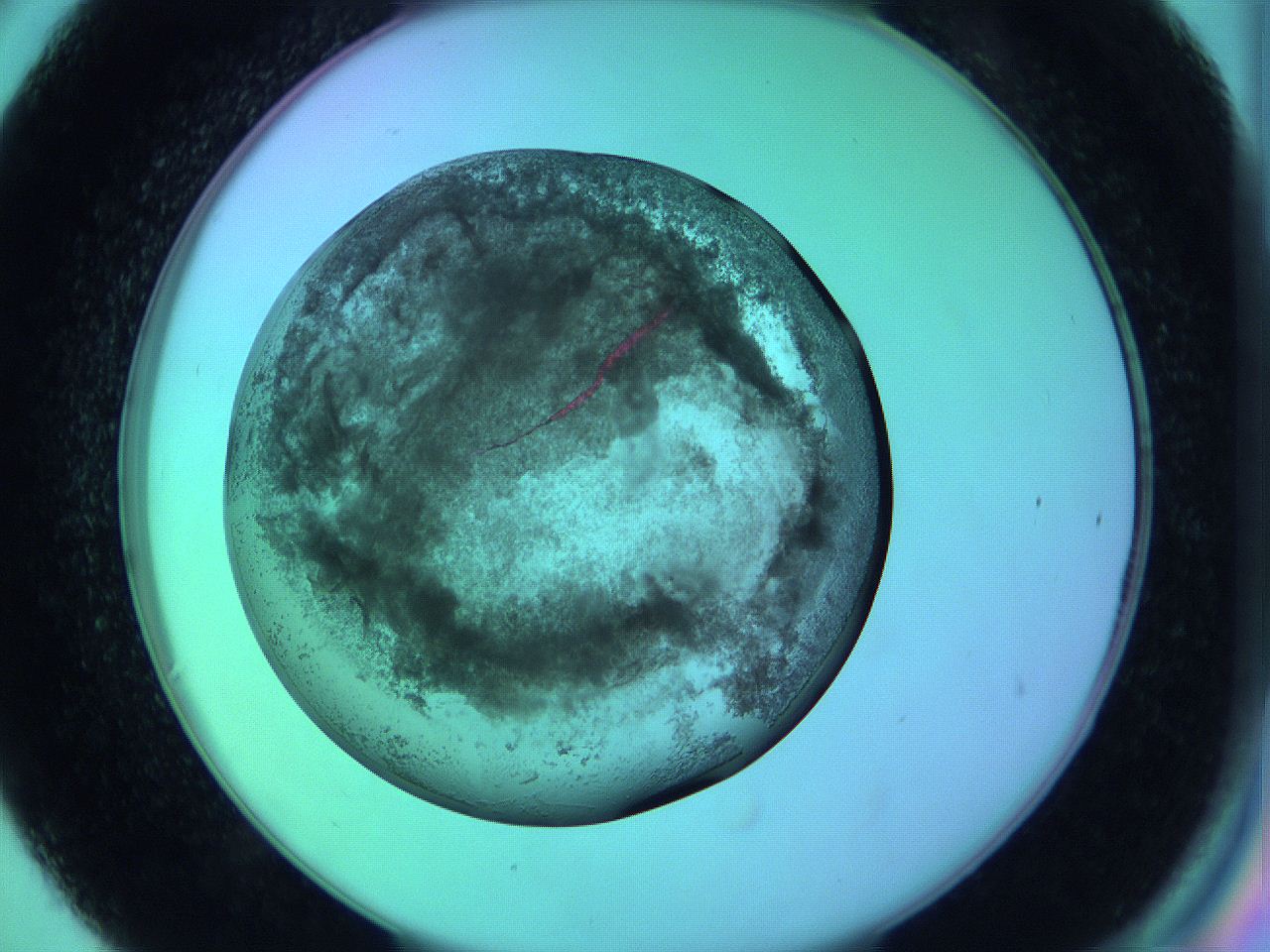 05zc_C6_ImagerDefaults_3.jpg