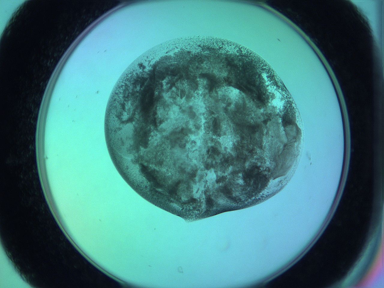 05zc_C7_ImagerDefaults_3.jpg