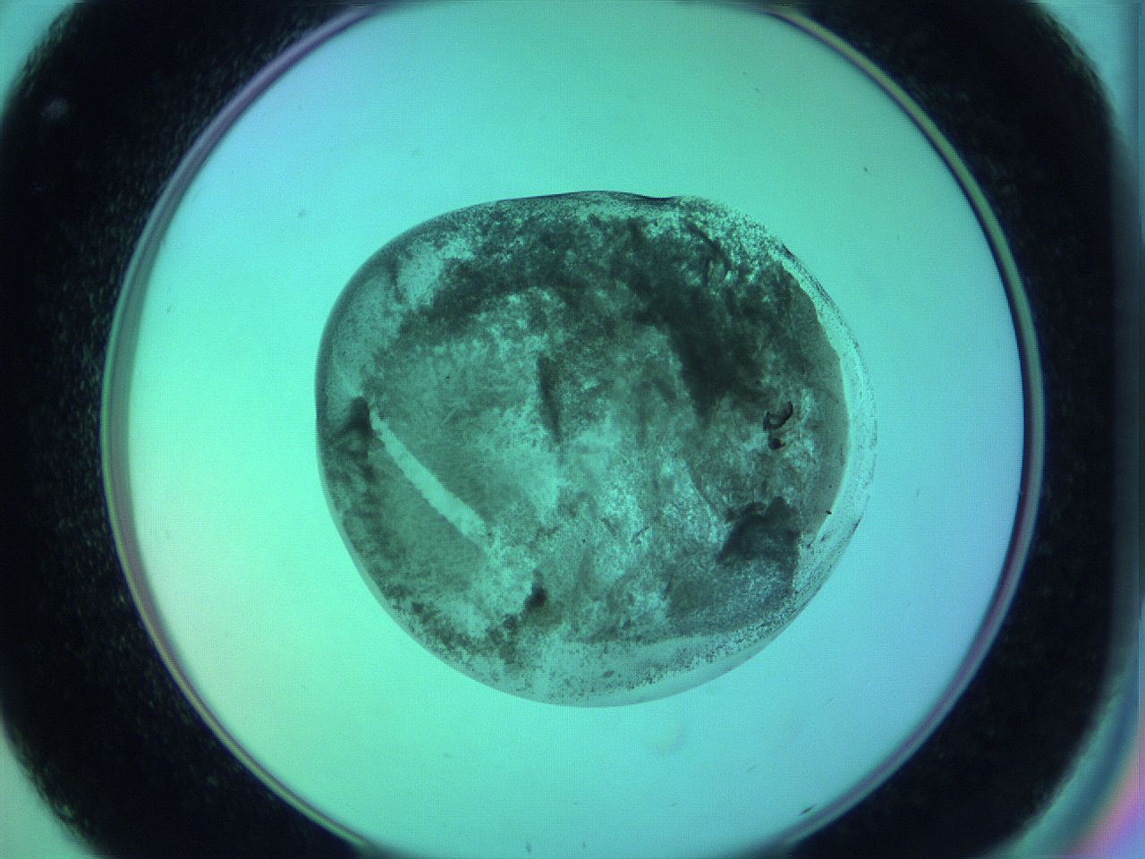 05zc_C8_ImagerDefaults_3.jpg