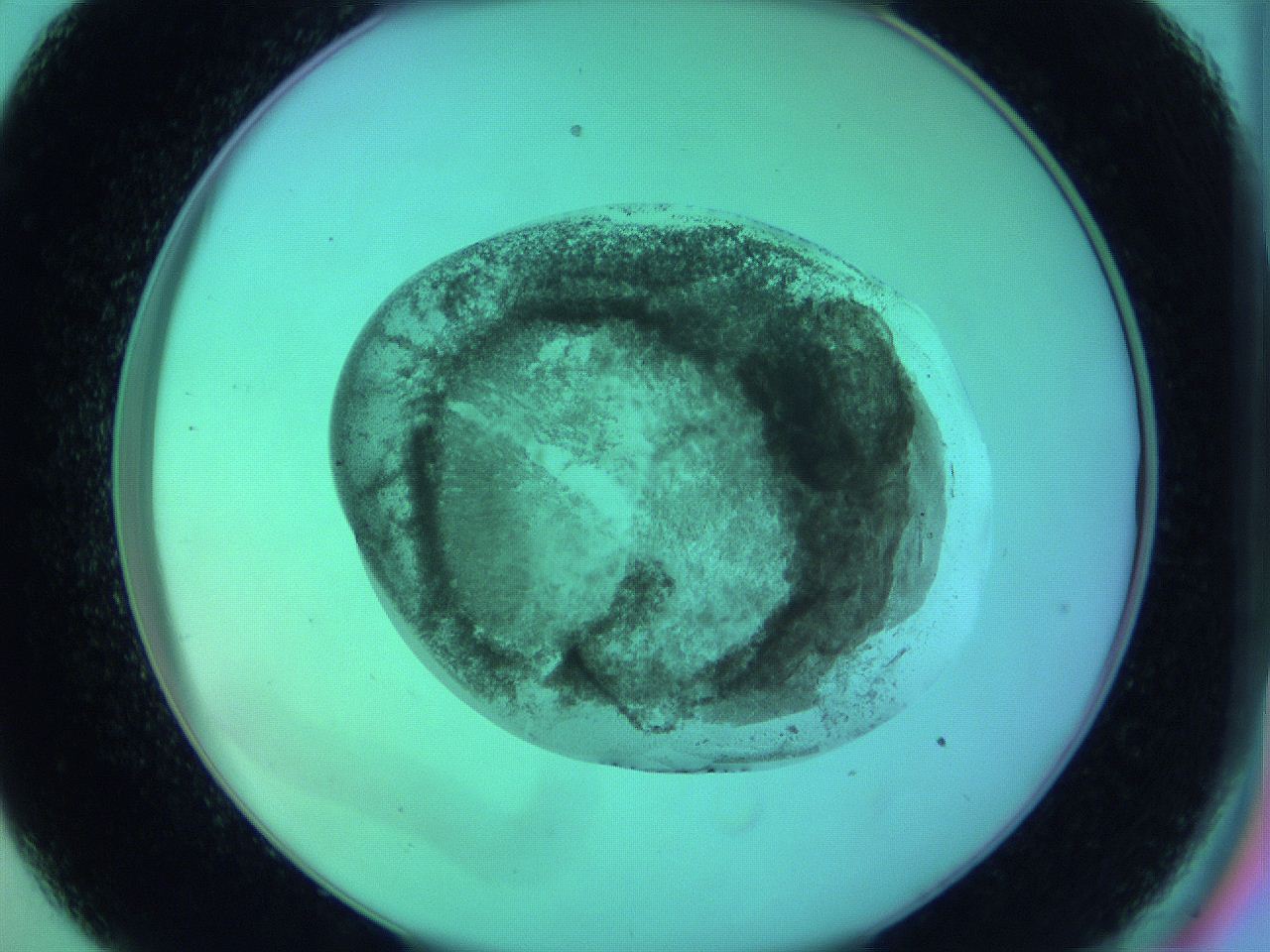 05zc_C9_ImagerDefaults_3.jpg