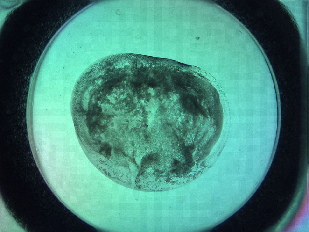 05zc_C10_ImagerDefaults_3.jpg