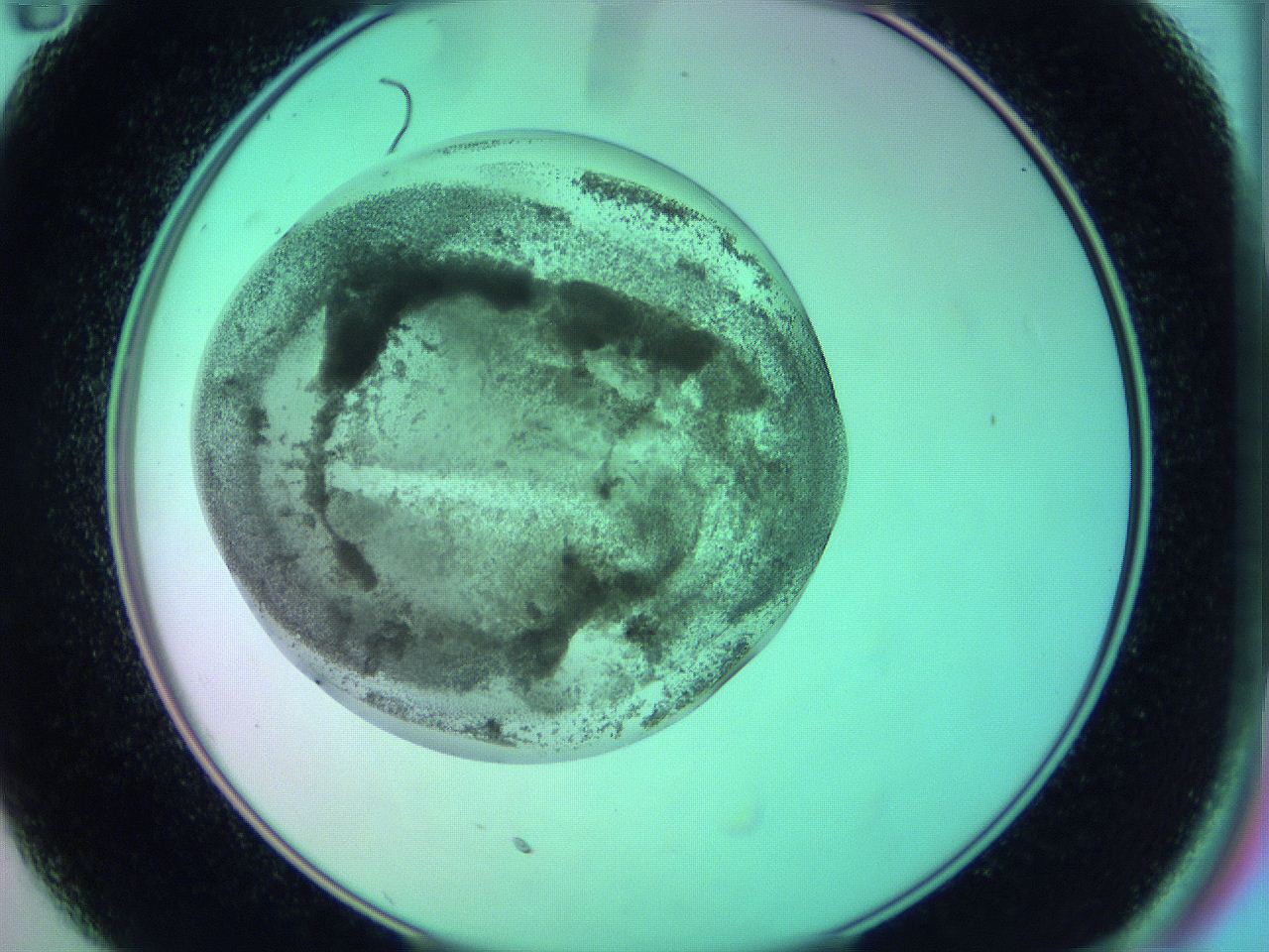05zc_C11_ImagerDefaults_3.jpg