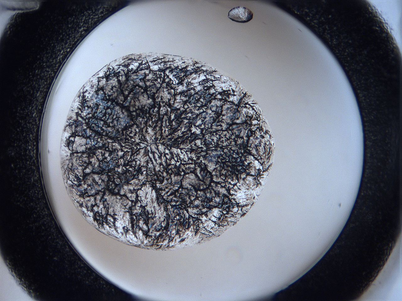05zc_C12_ImagerDefaults_3.jpg