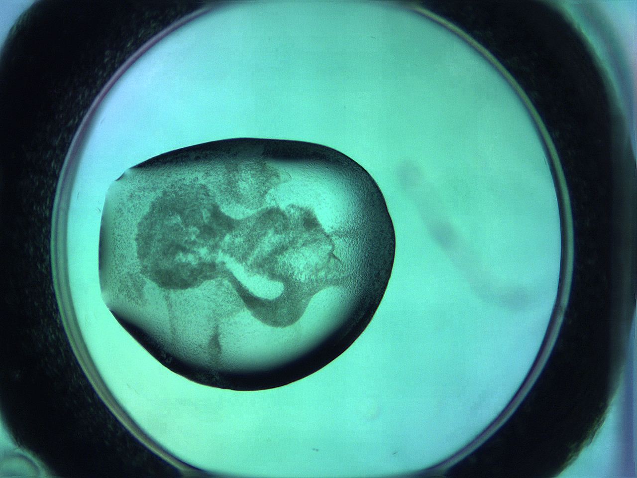 05zc_D10_ImagerDefaults_3.jpg