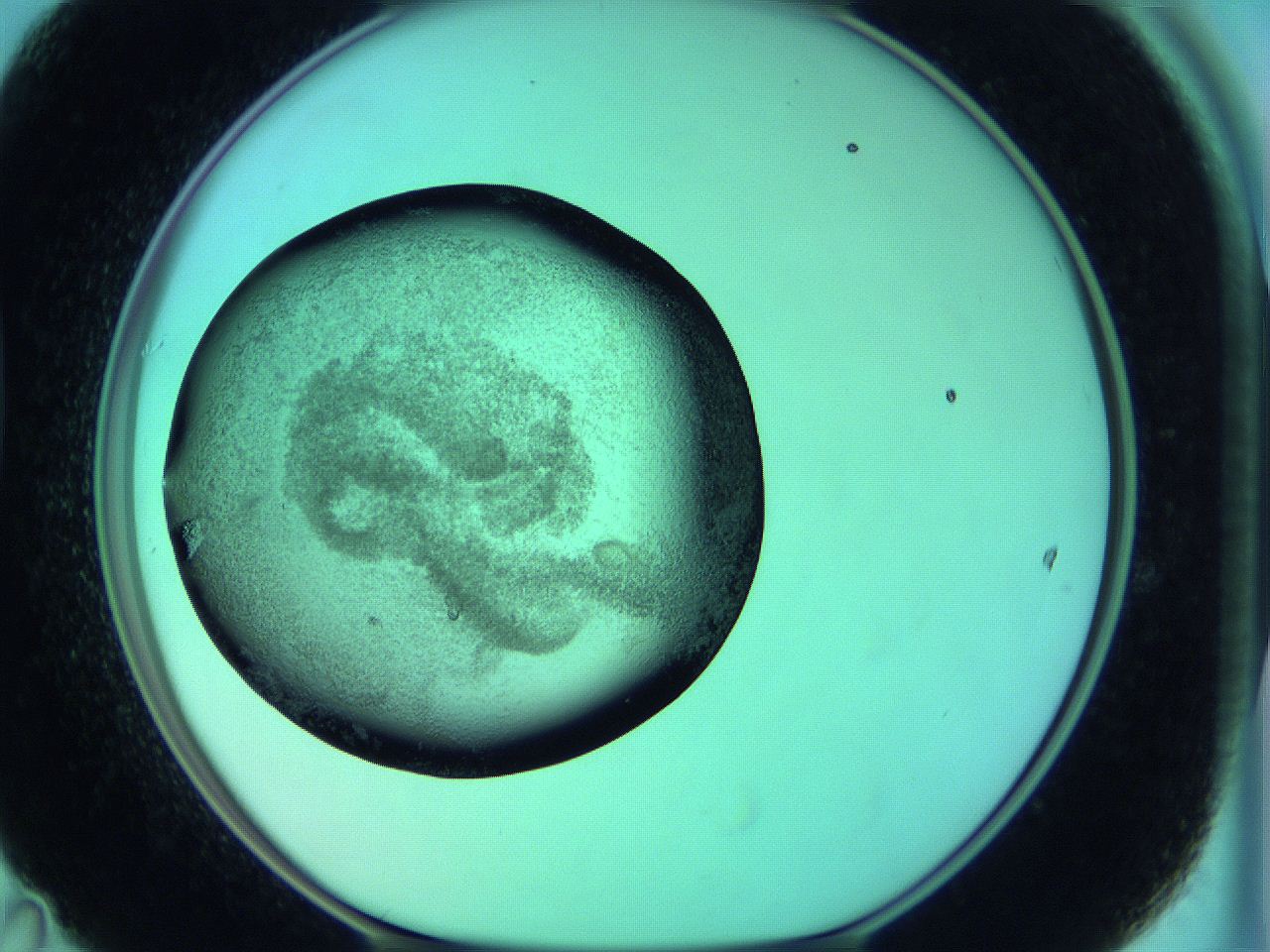 05zc_D11_ImagerDefaults_3.jpg