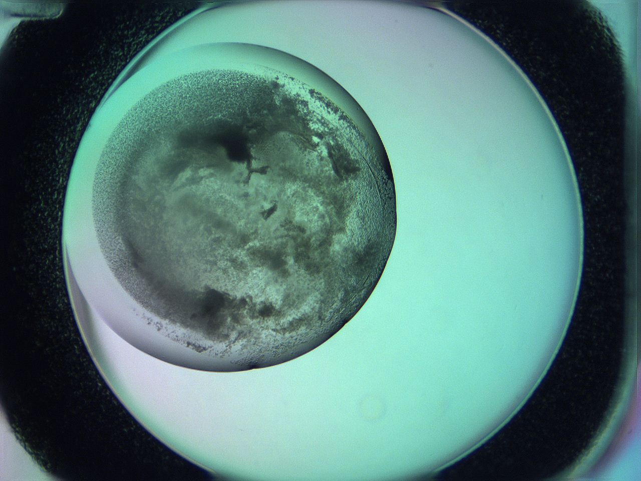 05zc_D12_ImagerDefaults_3.jpg