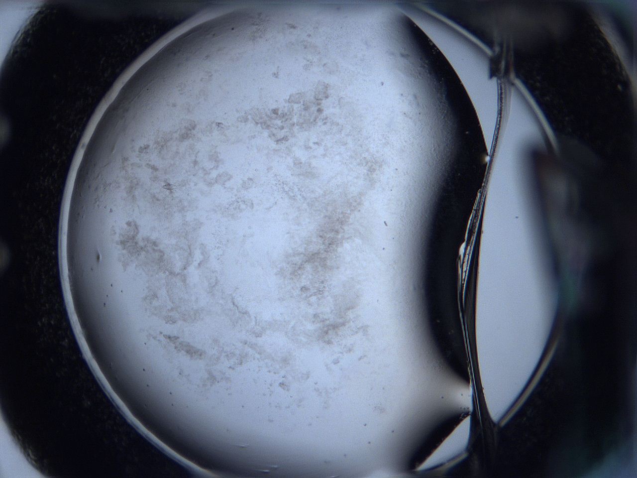 05zc_E2_ImagerDefaults_3.jpg