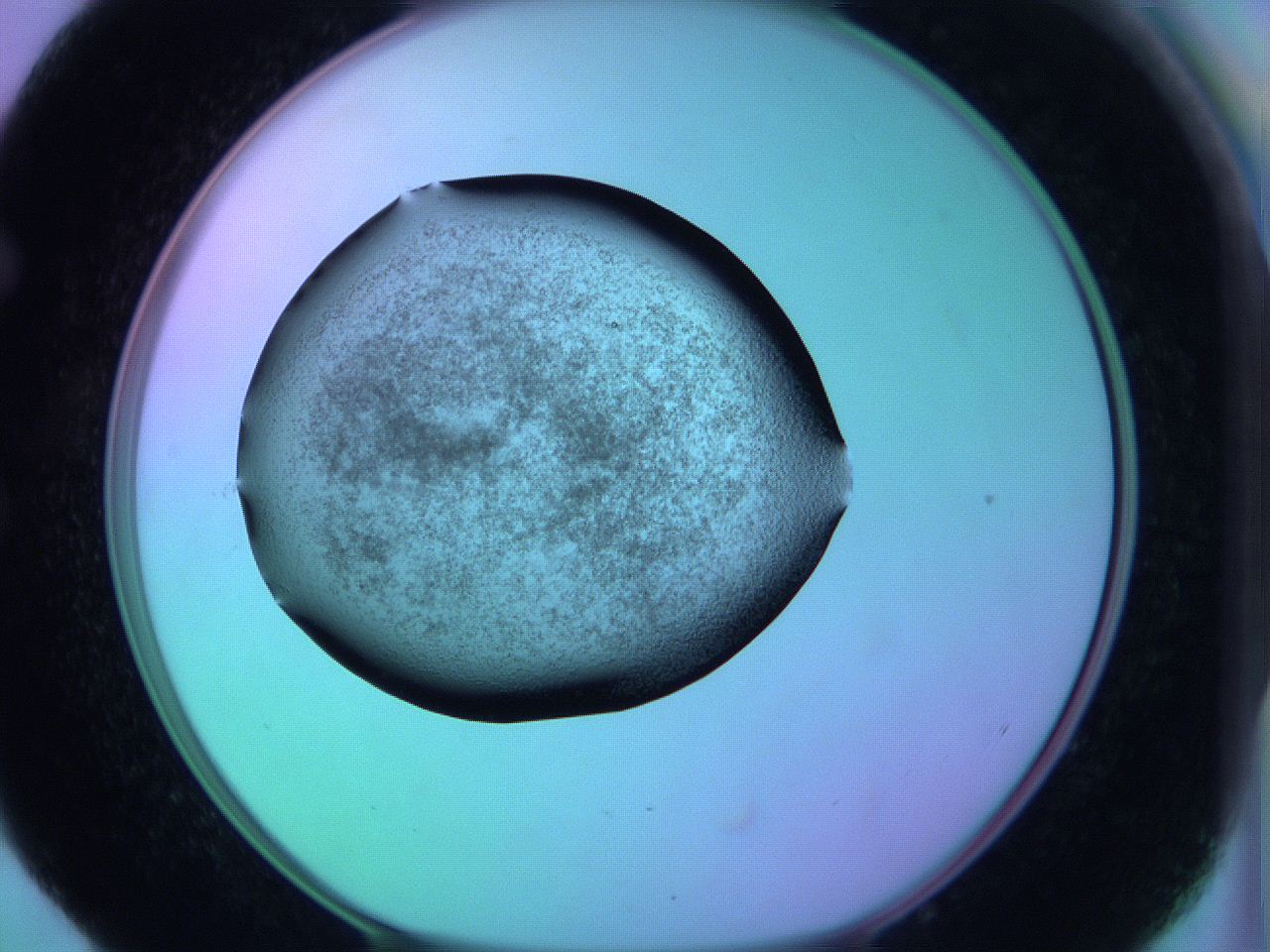05zc_E4_ImagerDefaults_3.jpg
