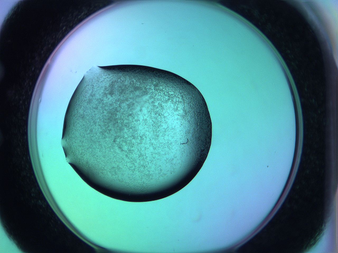 05zc_E5_ImagerDefaults_3.jpg