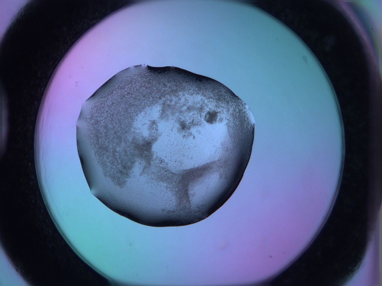 05zc_D3_ImagerDefaults_3.jpg
