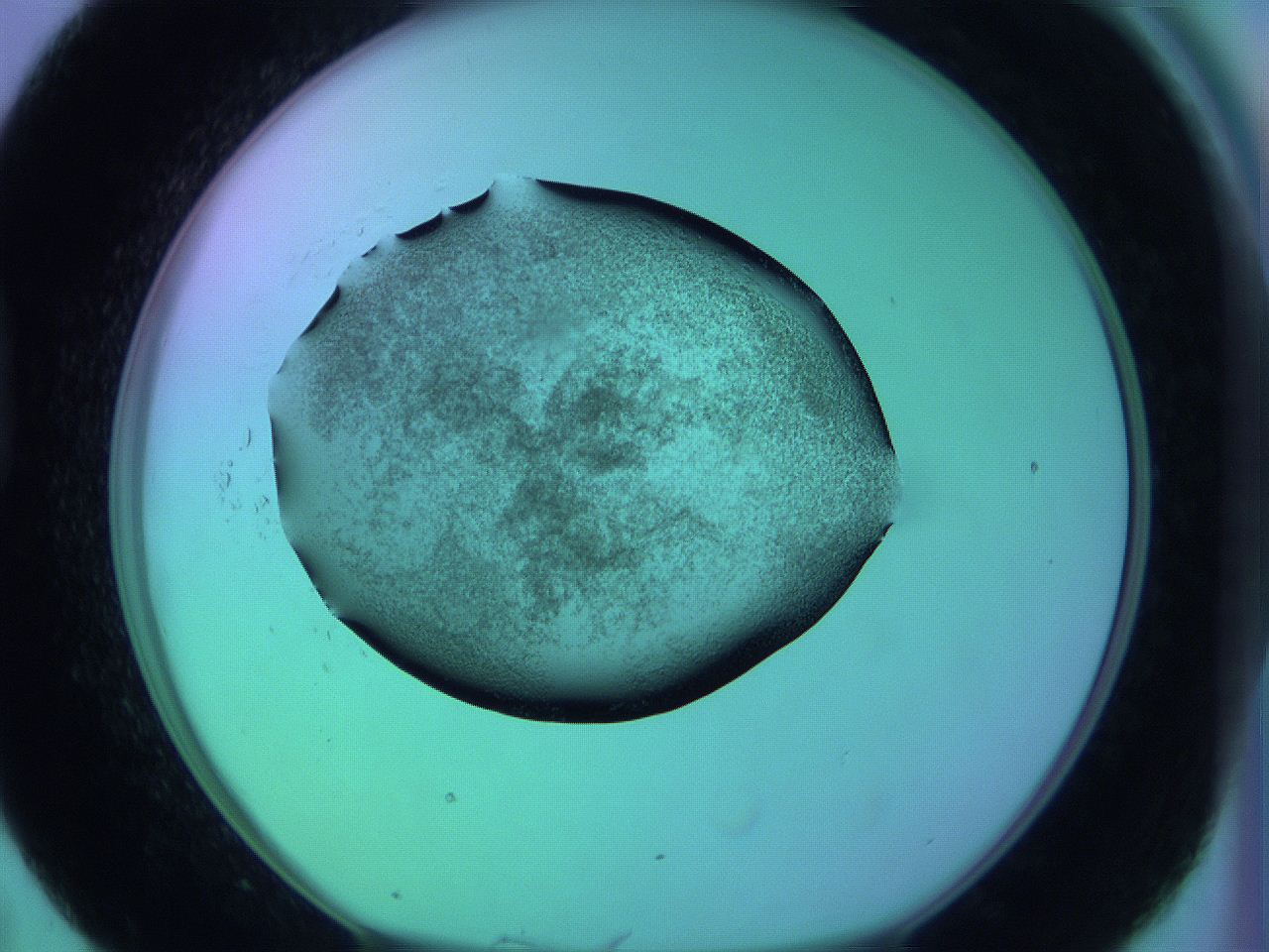 05zc_D7_ImagerDefaults_3.jpg