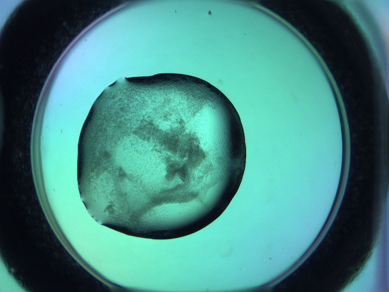 05zc_D9_ImagerDefaults_3.jpg