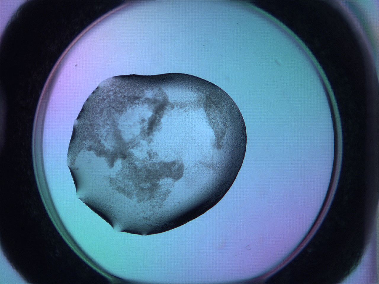 05zc_D4_ImagerDefaults_3.jpg