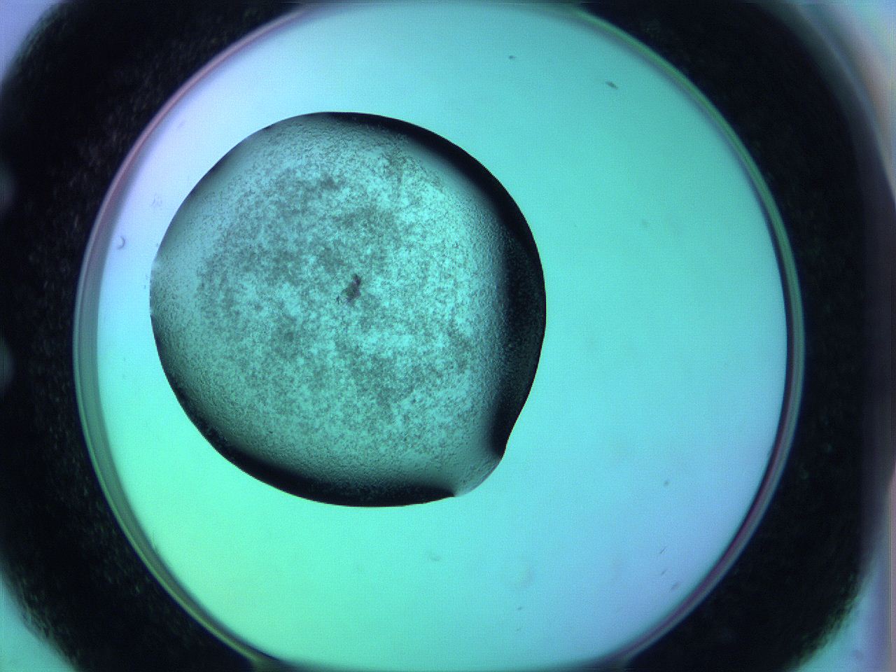 05zc_E6_ImagerDefaults_3.jpg