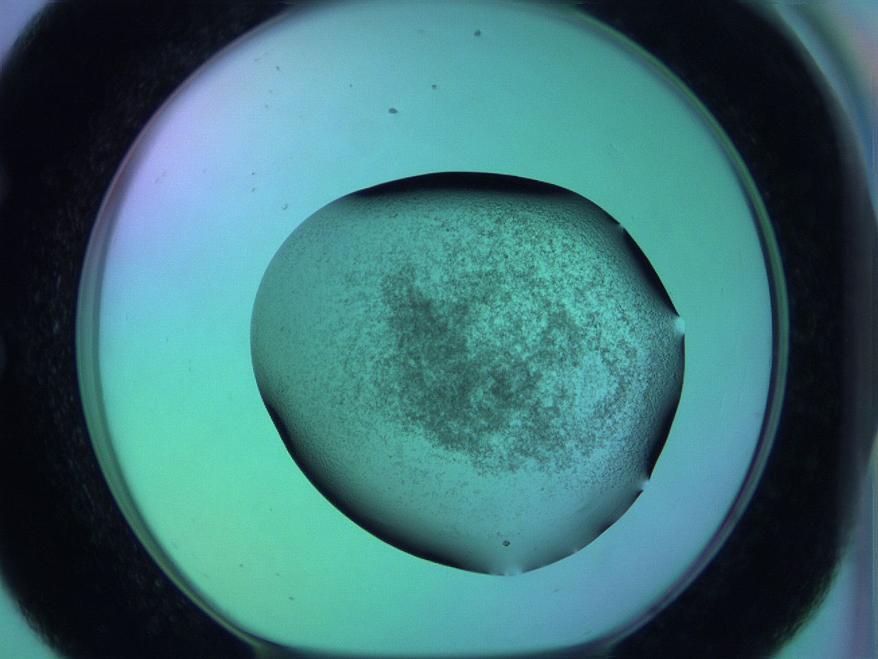 05zc_E8_ImagerDefaults_3.jpg