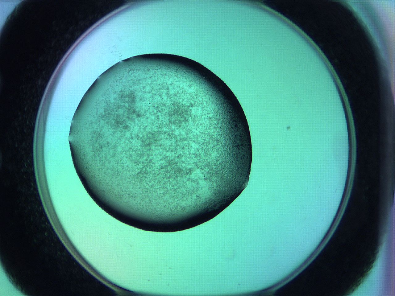 05zc_E9_ImagerDefaults_3.jpg