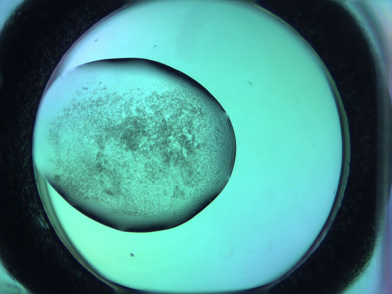 05zc_E10_ImagerDefaults_3.jpg