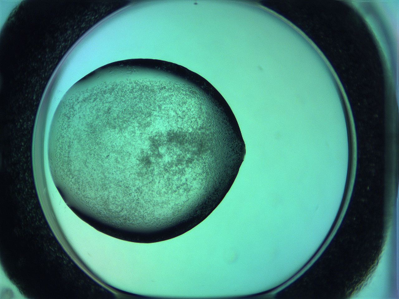 05zc_E11_ImagerDefaults_3.jpg