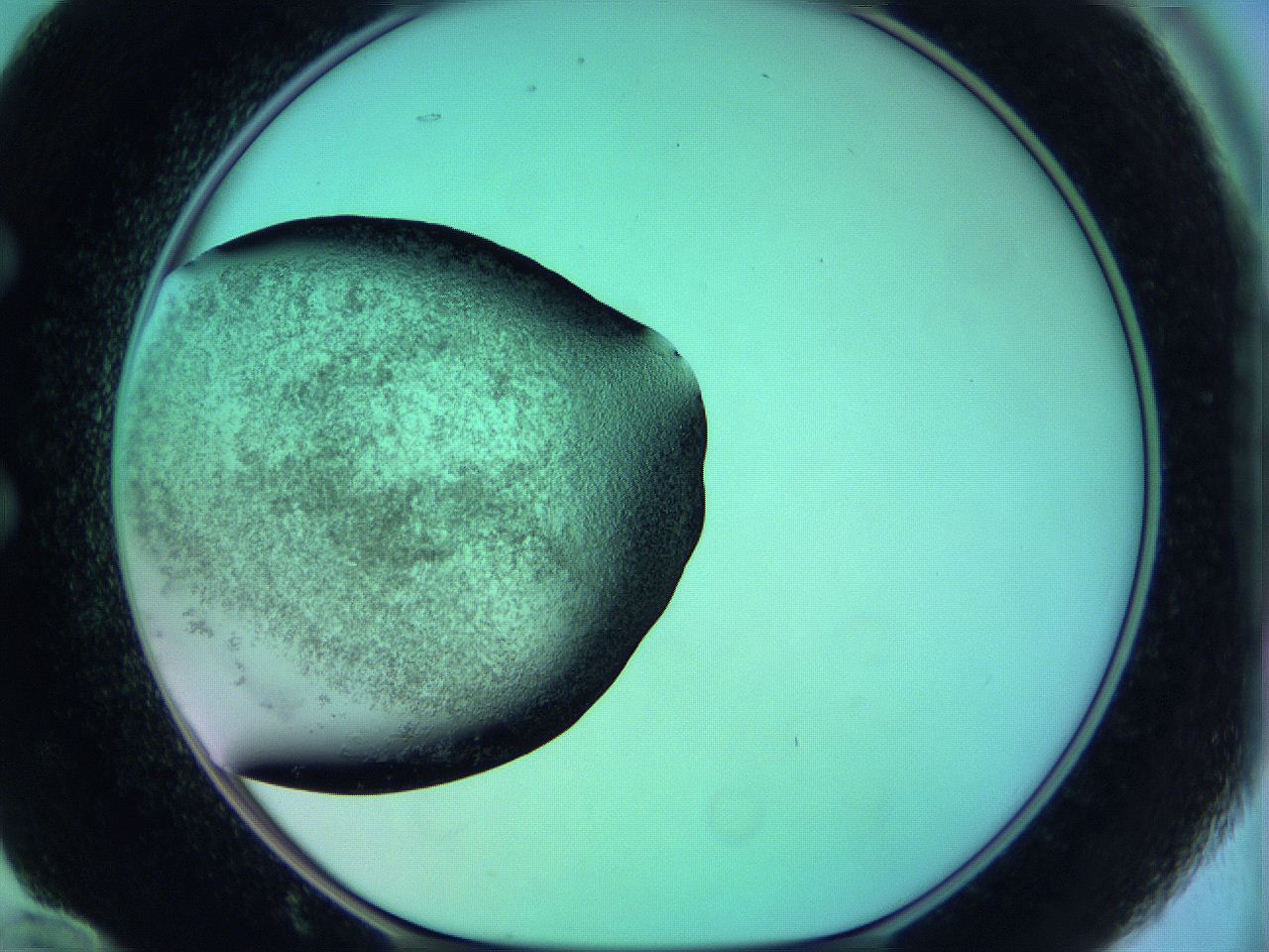 05zc_E12_ImagerDefaults_3.jpg