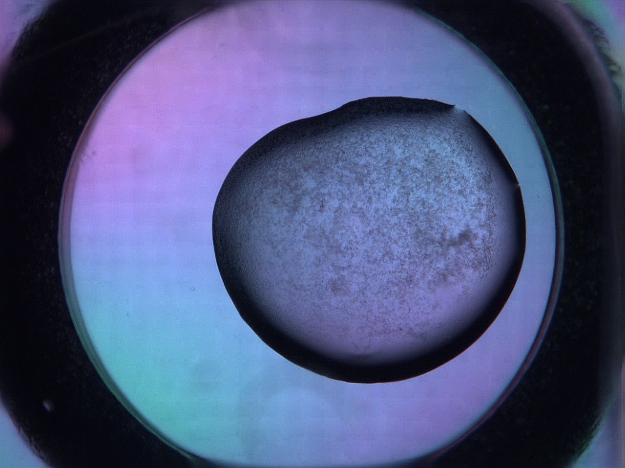 05zc_F1_ImagerDefaults_3.jpg
