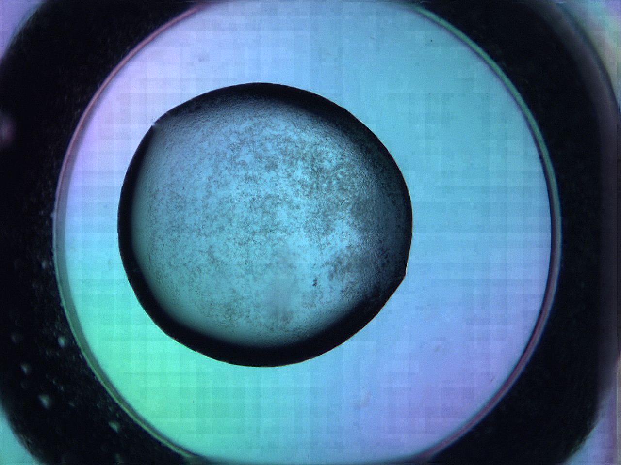 05zc_F2_ImagerDefaults_3.jpg