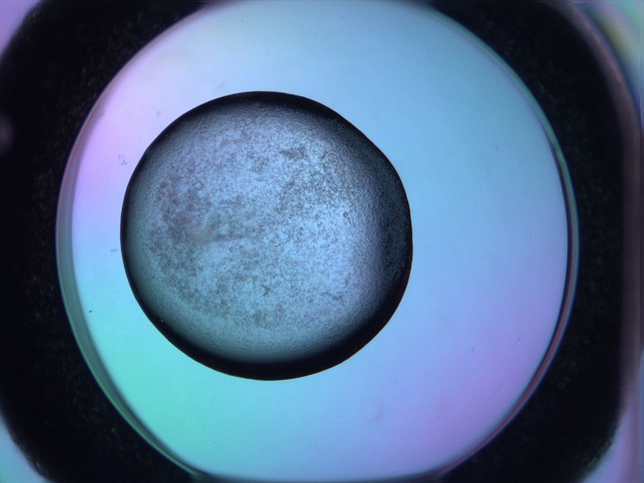 05zc_F3_ImagerDefaults_3.jpg
