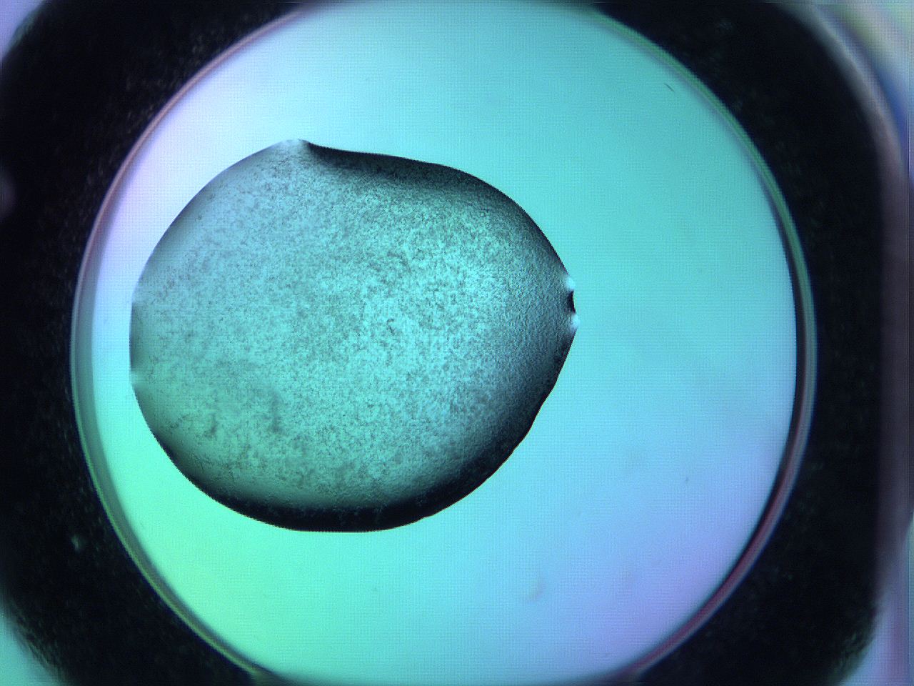 05zc_F4_ImagerDefaults_3.jpg