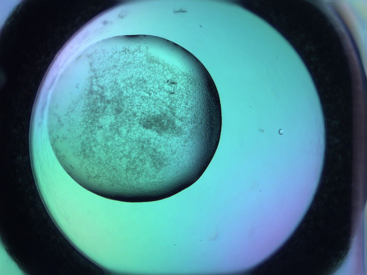 05zc_F5_ImagerDefaults_3.jpg