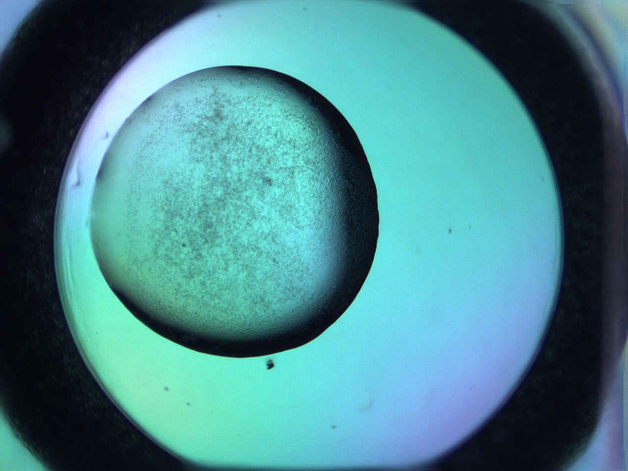 05zc_F6_ImagerDefaults_3.jpg