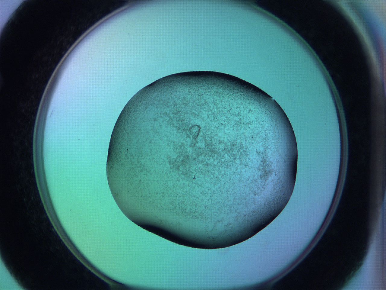05zc_F7_ImagerDefaults_3.jpg
