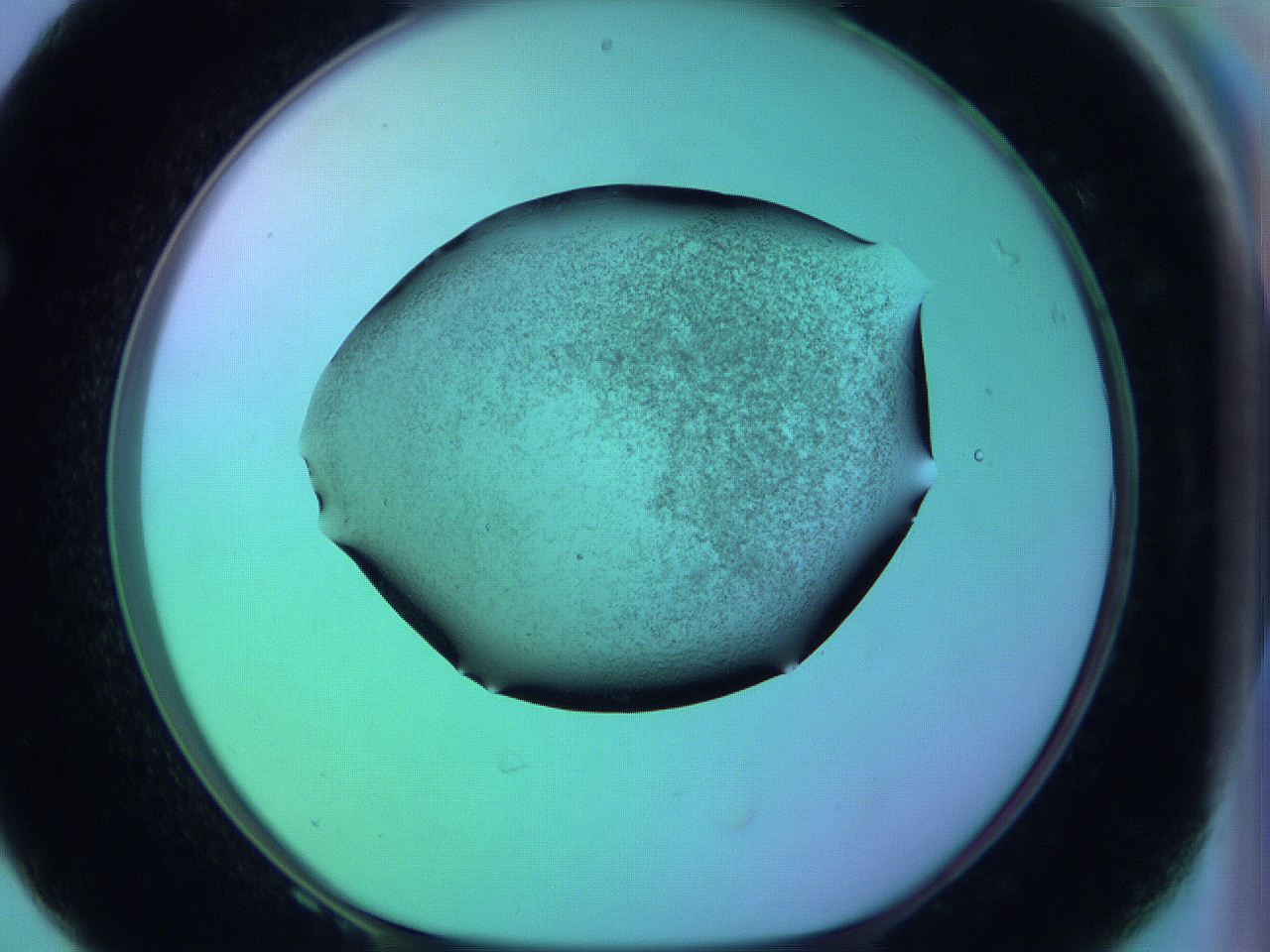 05zc_F8_ImagerDefaults_3.jpg