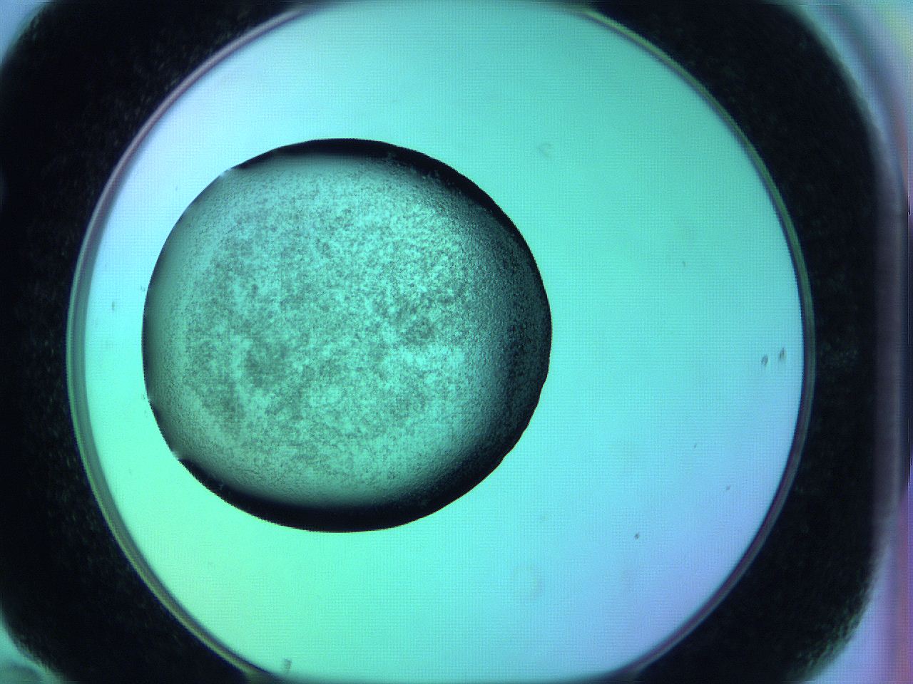 05zc_F10_ImagerDefaults_3.jpg