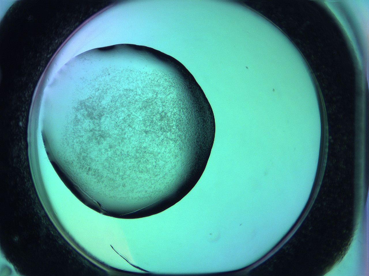 05zc_F11_ImagerDefaults_3.jpg