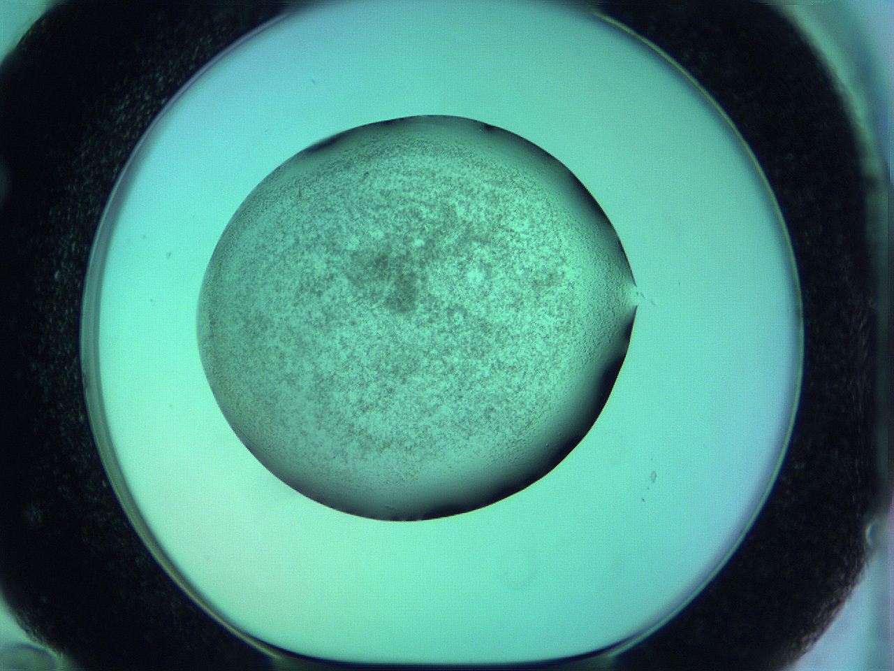 05zc_F12_ImagerDefaults_3.jpg