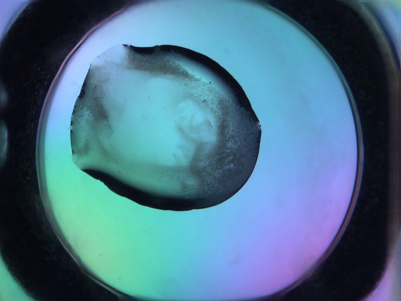 05zc_G2_ImagerDefaults_3.jpg