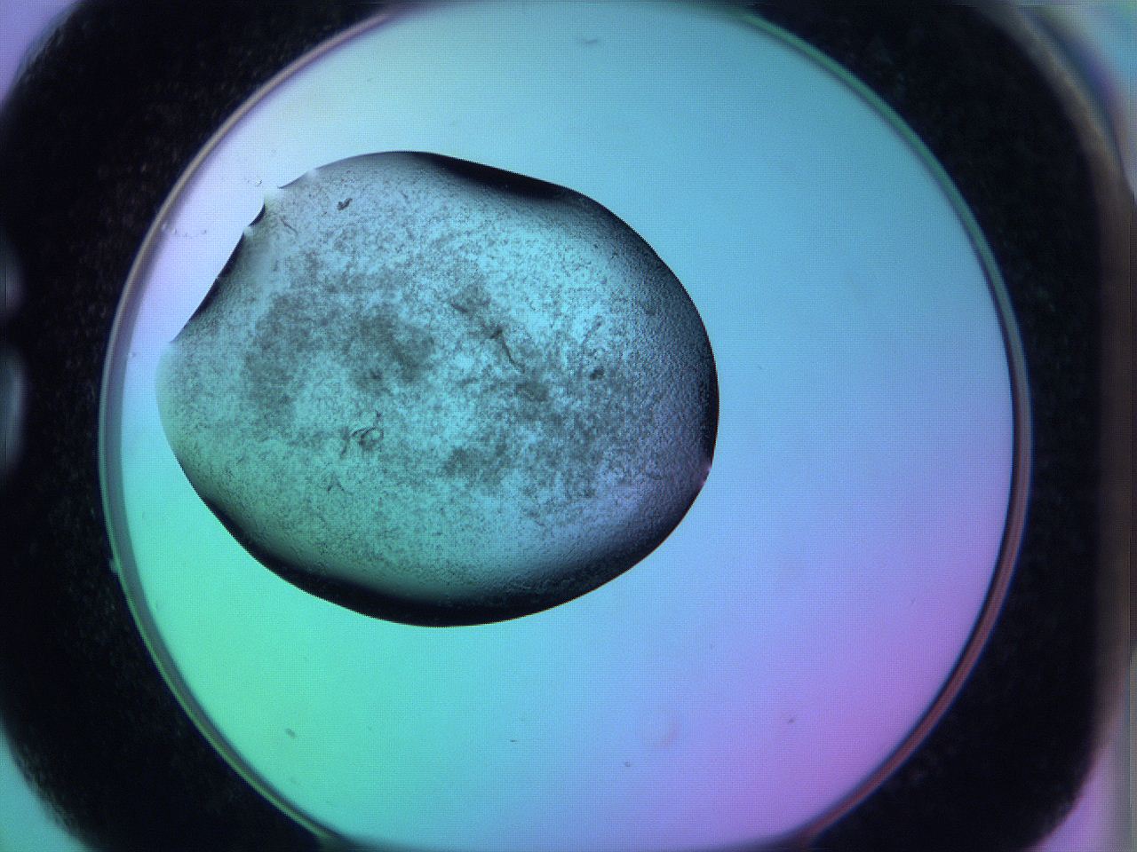 05zc_G3_ImagerDefaults_3.jpg