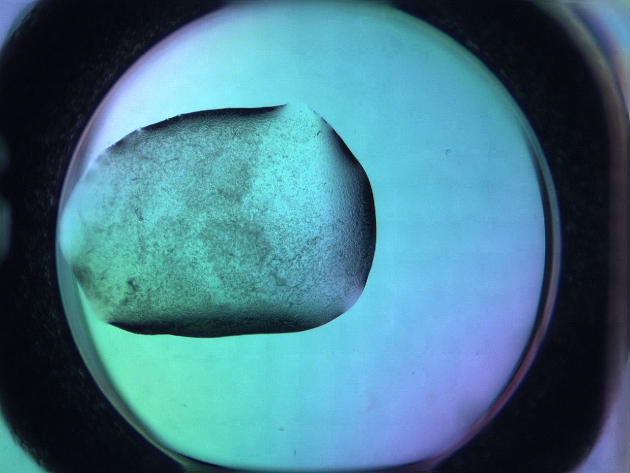 05zc_G4_ImagerDefaults_3.jpg