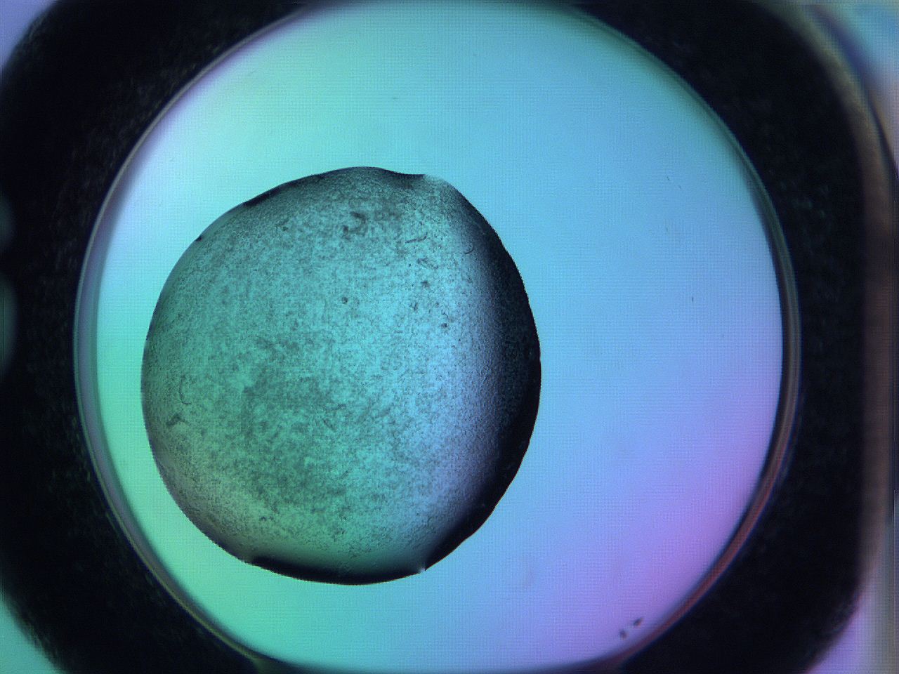 05zc_G5_ImagerDefaults_3.jpg