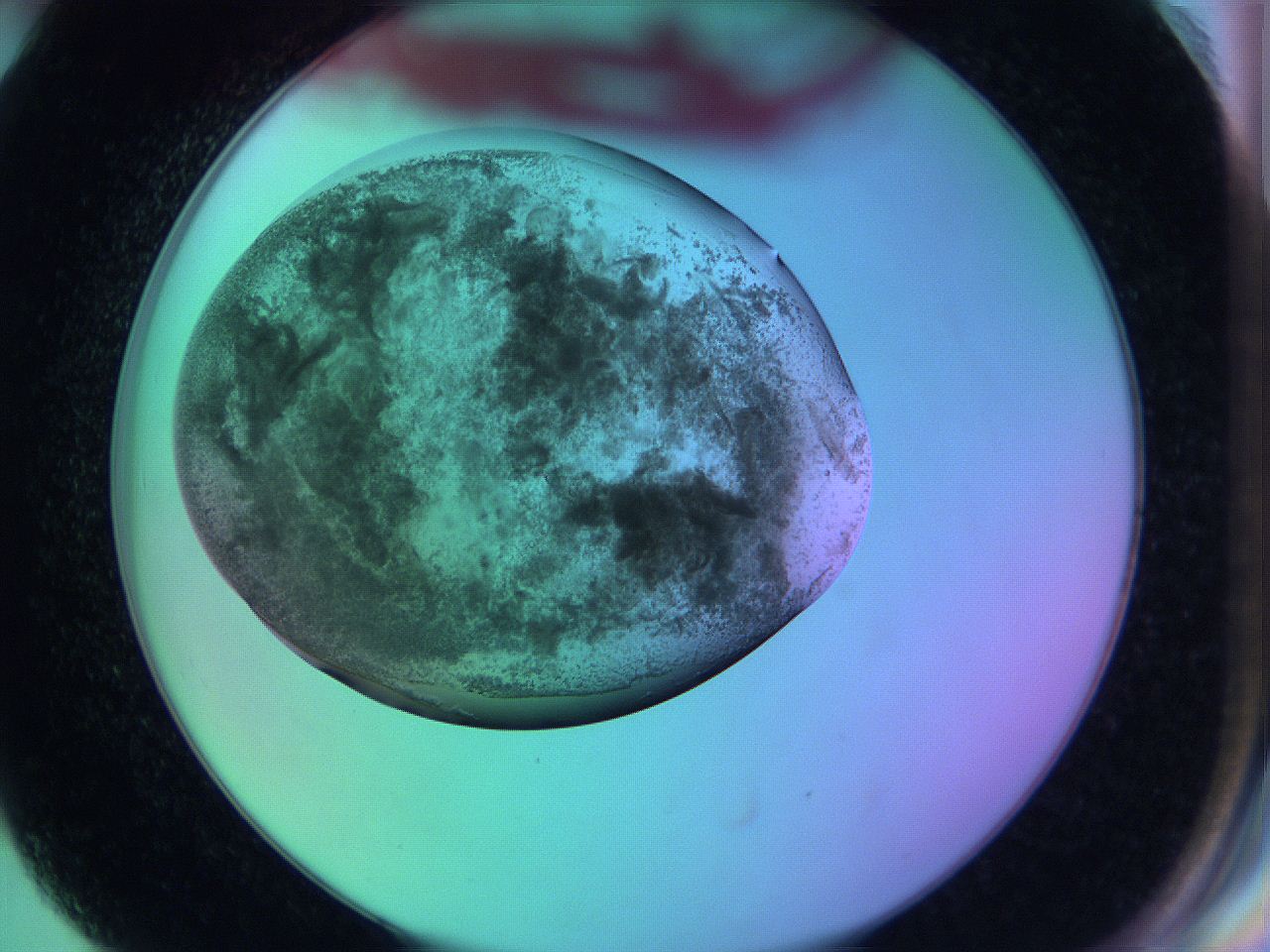 05zc_G6_ImagerDefaults_3.jpg