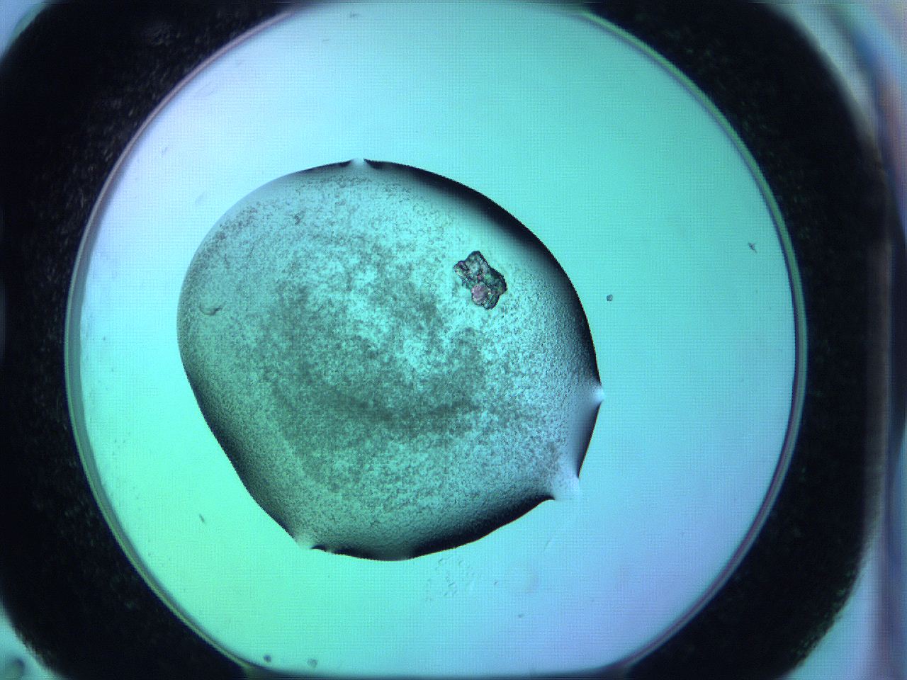 05zc_G11_ImagerDefaults_3.jpg