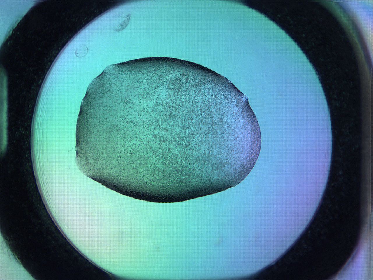 05zc_H1_ImagerDefaults_3.jpg