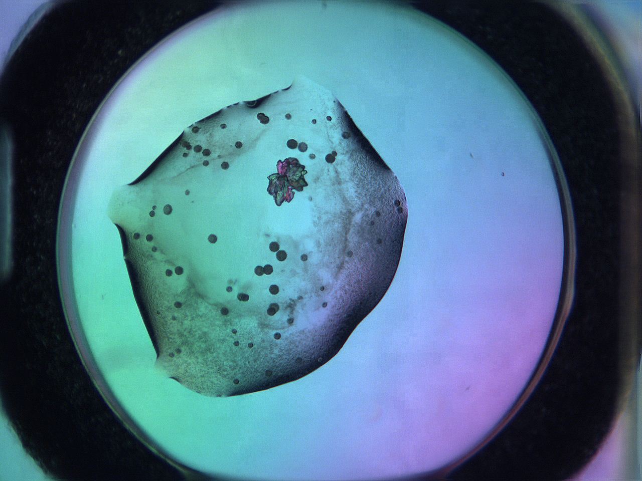 05zc_H3_ImagerDefaults_3.jpg