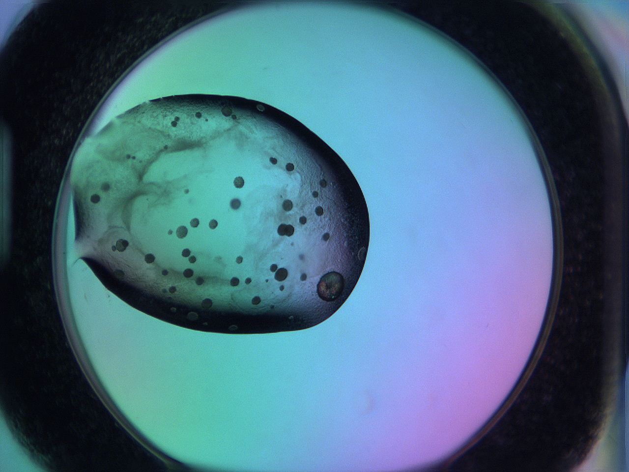 05zc_H5_ImagerDefaults_6.jpg